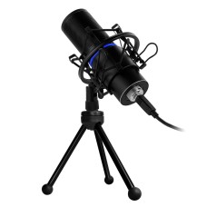 AMCG7001